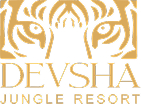 DEVSHA-OFFICIAL-LOGO